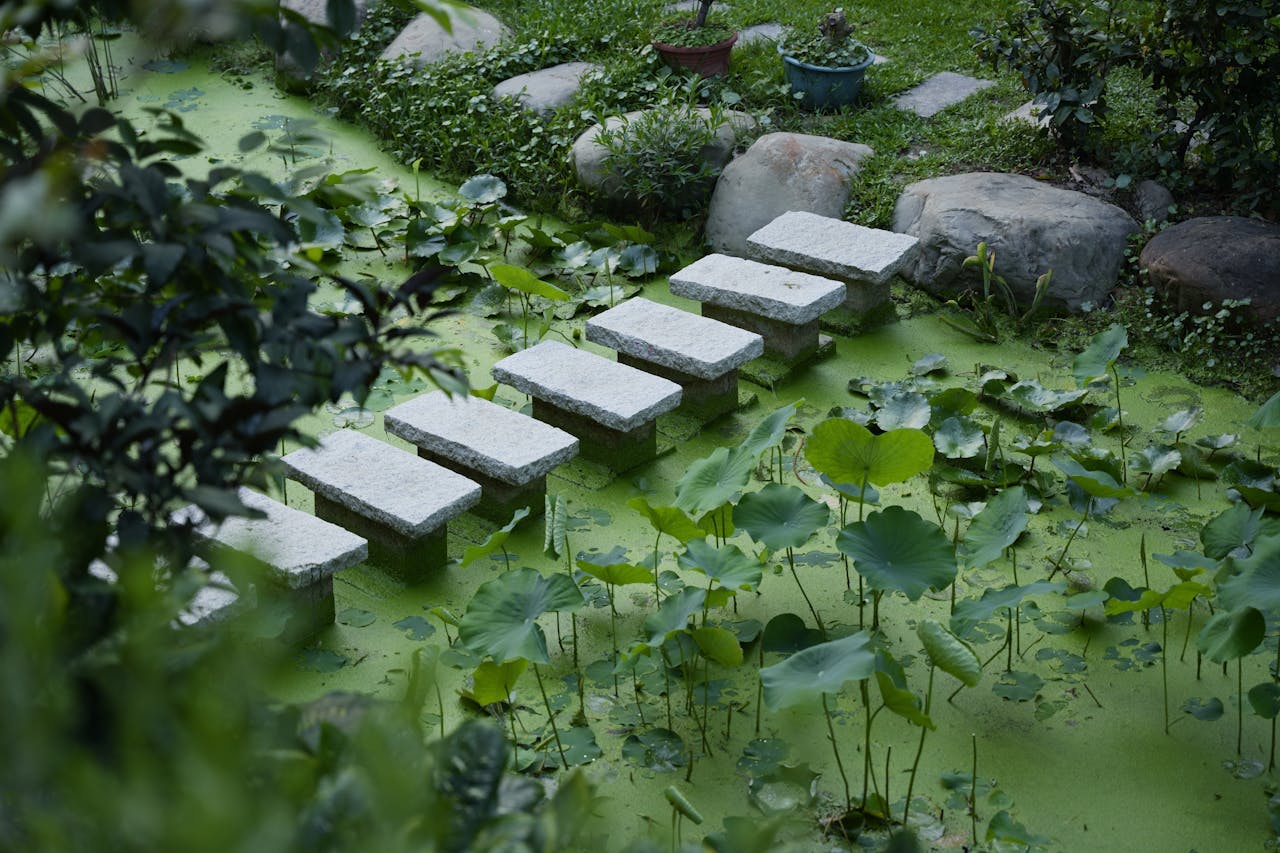 Tranquil garden scene with stone steps over a pond in Hsinchu City, Taiwan, surrounded by lush greenery.